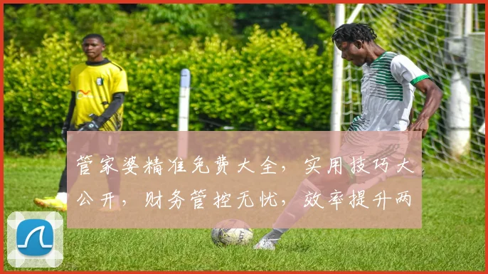 管家婆精准免费大全，实用技巧大公开，财务管控无忧，效率提升两倍